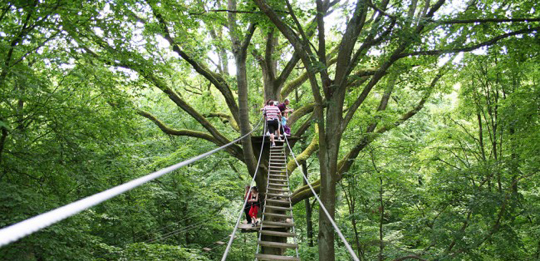 Acrobranche (65400 ARGELES-GAZOST)