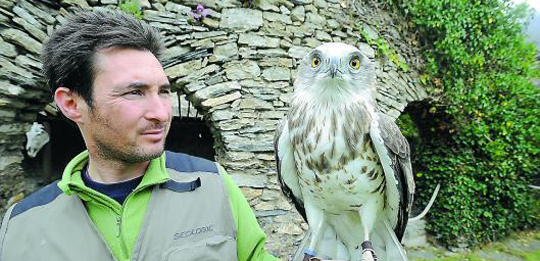 Spectacle du Donjon des Aigles (65400 BEAUCENS)